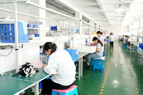 濰坊綜合保稅區 深化金融服務創新，無形資產變“真金白銀”，技術服務助力企業發展