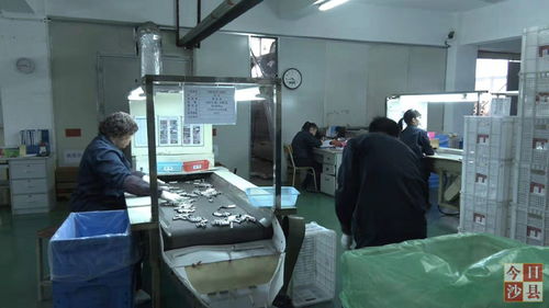 金楊科技春節(jié)不打烊，增資擴產(chǎn)技術(shù)服務忙