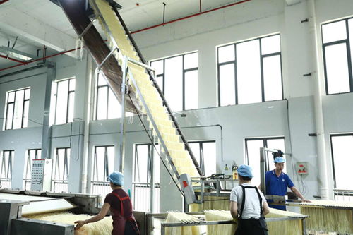 柳江區(qū) 精準創(chuàng)新雙輪驅(qū)動，食藥產(chǎn)業(yè)強音奏響技術(shù)服務新篇章